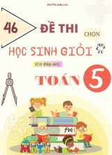 46 Đề thi chọn học sinh giỏi Toán Lớp 5 (Kèm đáp án)